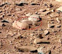 偽火星探査：な、なんと、火星にはリスまでいるそうです。