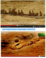 お笑い火星探査：火星に恐竜の骨？