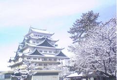 2014.2.15　リチャード・コシミズ名古屋「氷も雪も溶かす熱い思いで」講演会動画を公開します。