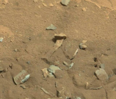 NASAの火星探査で、火星表面に「大腿骨」を発見！
